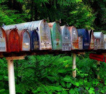 Benefits of Subscribing for Services